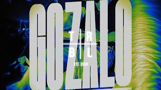 Ariis – GOZALO