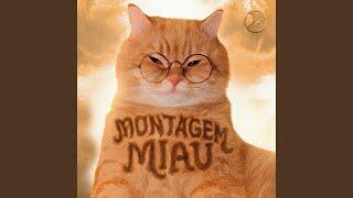 Lenar – Montagem Miau (Ultra Slowed)