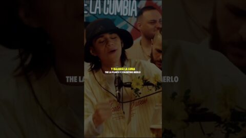 The La Planta – #thelaplanta
